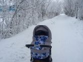 Погода в Салехарде ) минус 10