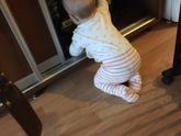 Ура!Сегодня 2 ной 🎉 праздник