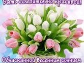 День борьбы за права женщин
