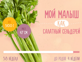 38 неделек ))