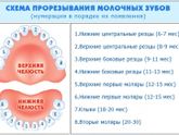 ааааа.... первые моляры. зубки