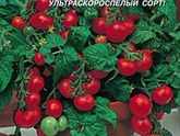 Помидорки на окошке