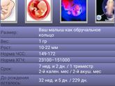 Я в панике!
