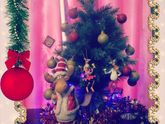 Новый год и Ёлка 🎄