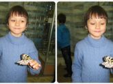 Выставка тропических бабочек