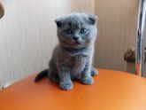 подарок любимого)))))))))))))))