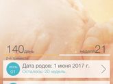 20 недель!