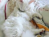 Самый сладкий😍😘💋