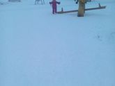 Моя любимая мартышка!