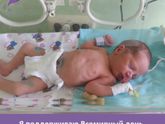 День белых лепестков.