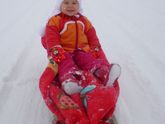 первый снег и горбатый ежик