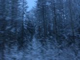 День 52 из 365