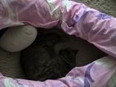 очень удобная подушка)))