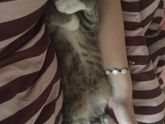 Добрый понедельник❤️
