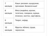 6 месяцев с чего начать прикорм?