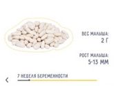 Мой малыш ?