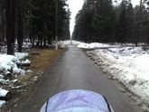 Прогулка после массажа?