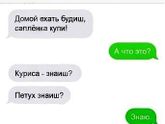 Саплёнок))))