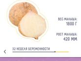 Идёт 32 неделя