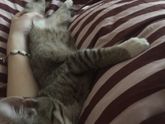 Добрый понедельник❤️
