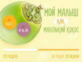 Экватор!