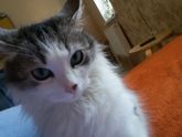 ((?Наши 32 недельки?))
