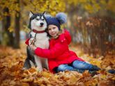 Мини фотопроект с хаски) Фотопост.