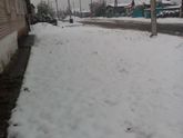 Наш первый снег.