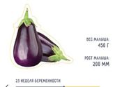 Баклажанчик🍆