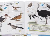 развивающие книги, энциклопедии...