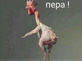 Привет девочки!