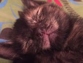 Я вот смотрю, некоторые