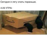 😂😂😂😂