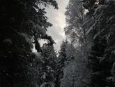 Прогулка!