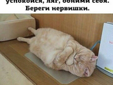 Спорт во время ГВ. Ваш опыт.