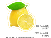 Началась 12я неделя беременности