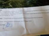 Девочки