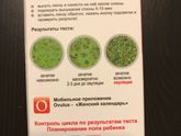 Я купила тест для