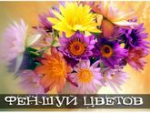 7 комнатных растений по ФЭН ШУЙ, которые должны быть в каждом доме!