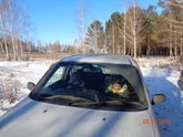 Наш пикник 03.12.2016..