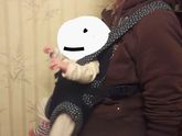 Отдам недорого