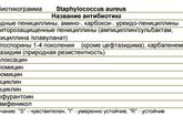 Стафилококк