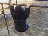 Сладкий