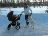 Наша первая полноценная прогулка??