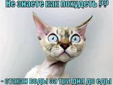 баян,но меня улыбнуло)