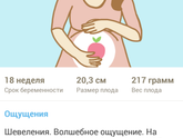 18 неделя