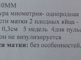 26 дпп узи