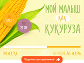 #моймаленький #кукурузик ? ?