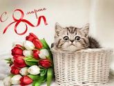 8 марта )))