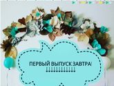 Реалити-шоу для рукодельниц "Мастер в порядке"
